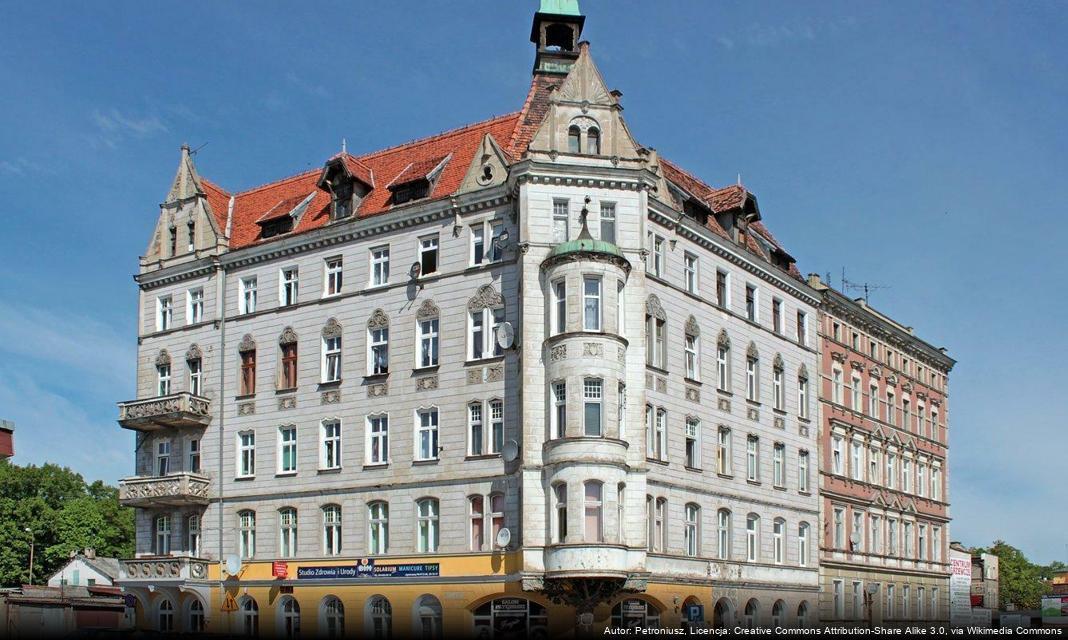 Nabór wniosków o dofinansowanie kastracji i sterylizacji zwierząt w Świdnicy